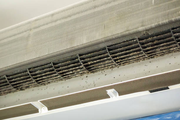 Best Commercial HVAC Duct Cleaning  in USA