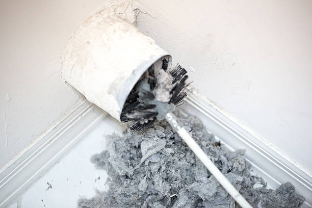 Best Local Air Duct Cleaning Services  in USA